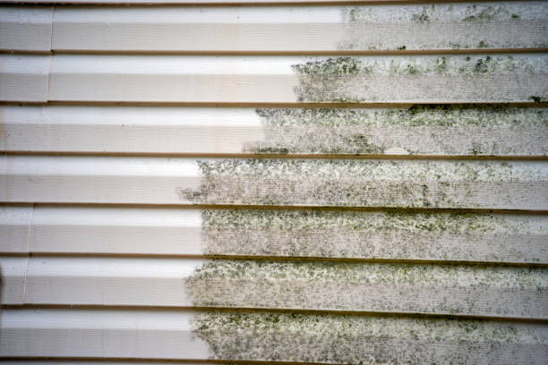 Best Hoarding Cleanup  in Senatobia, MS