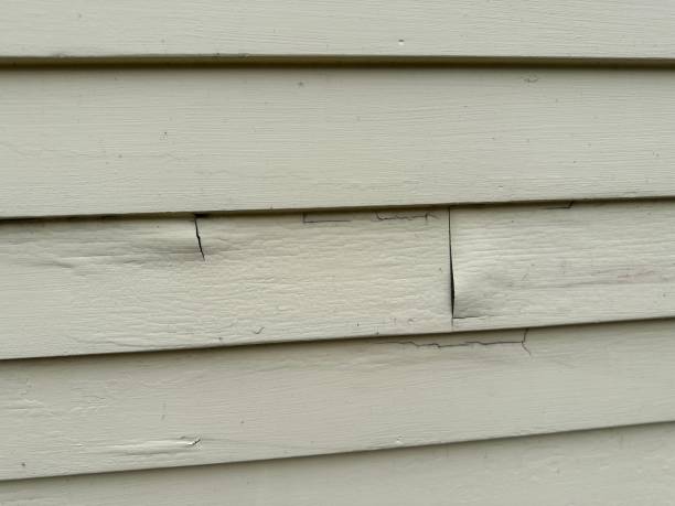 Shed Removal in Senatobia, MS